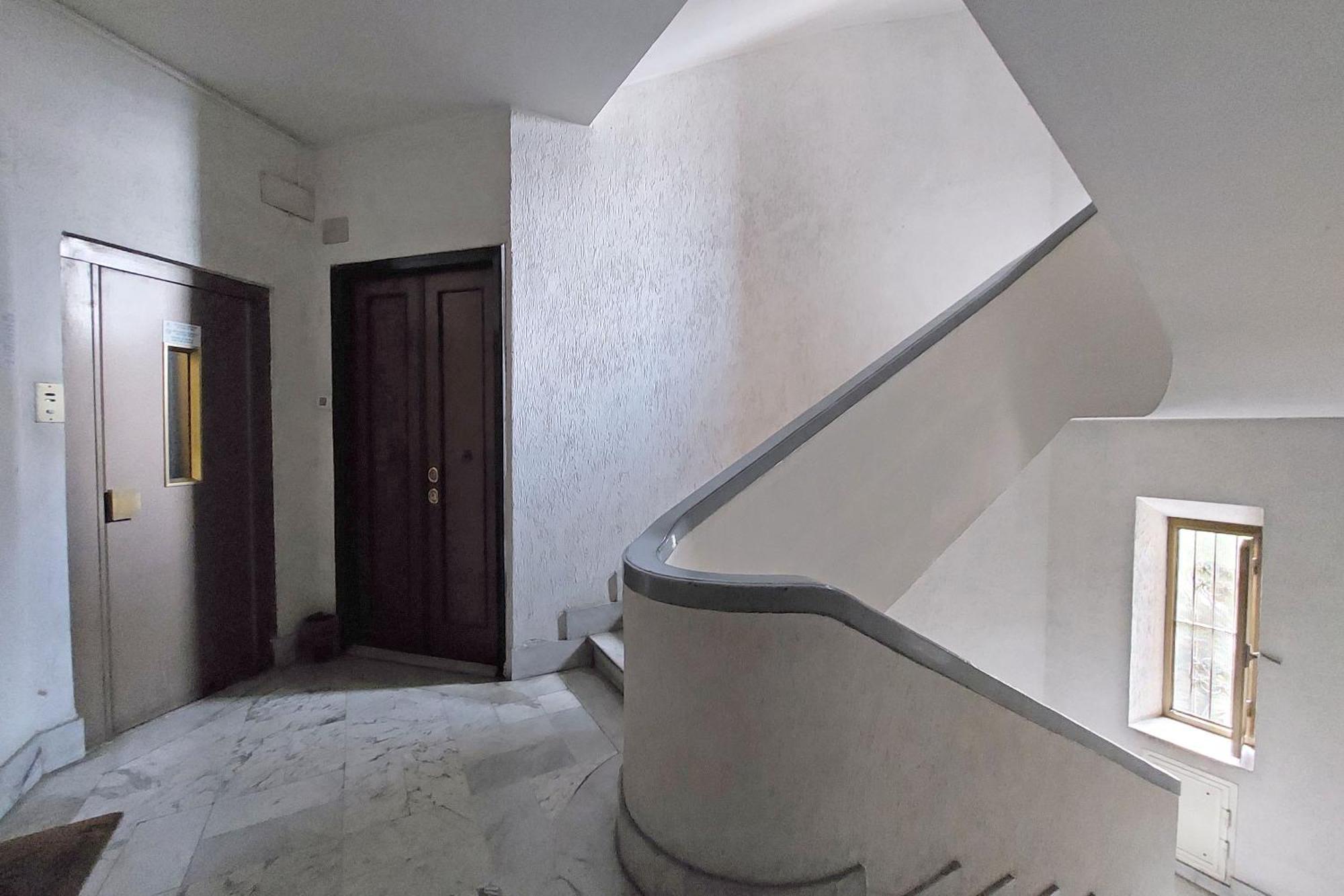 Apartment White Wood House